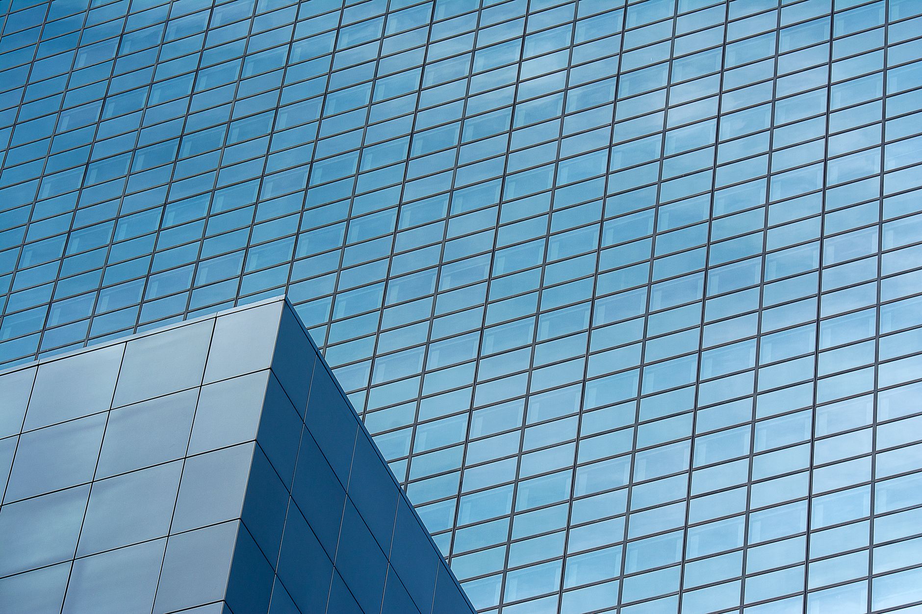 Close-up of a modern glass building facade showing a detailed pattern of windows reflecting the sky.